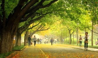 迷人的校園作文冬天