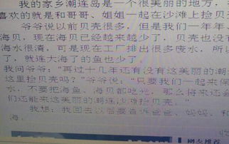 校園一角方位作文350字