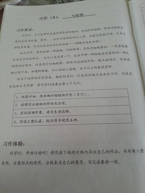美麗的校園作文四百字四年級(jí)上冊,美麗的校園寫景四百字四年級(jí),美麗的校園作文400字左右四年級(jí)上冊