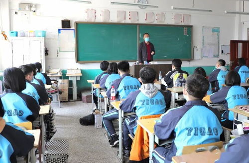 校園重逢的作文