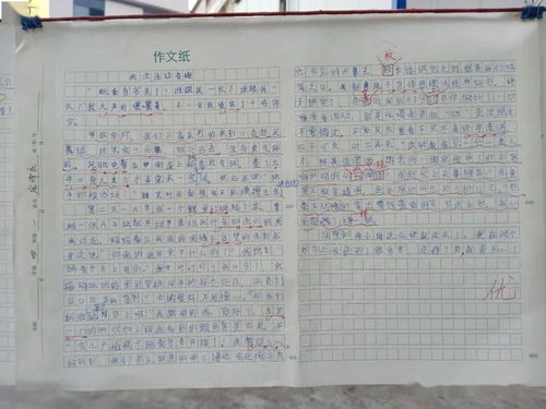 我們的校園城一小作文