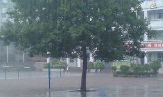 有關(guān)雨中的校園作文