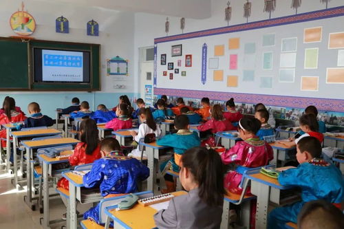 我們的校園生活豐富多彩作文300字,我們的校園生活豐富多彩作文三年級(jí),多彩的校園生活600字作文