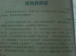 不忘校園情作文500字