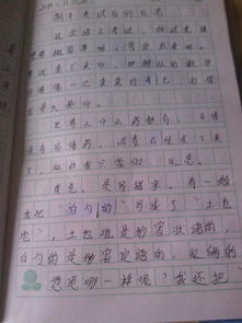 有意義的一次校園勞動(dòng)作文四百字