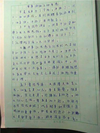 小學(xué)生作文禮智校園愛國主義