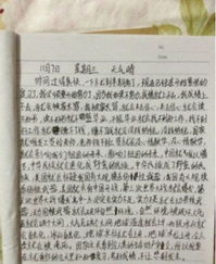 作文,財(cái)產(chǎn),大學(xué)生,校園