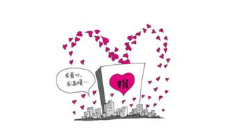 校園的捐款活動作文