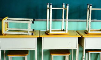 作文校園的二三事