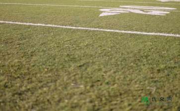 校園的塑膠運(yùn)動(dòng)場(chǎng)作文,校園里的運(yùn)動(dòng)場(chǎng)作文400字,校園里的運(yùn)動(dòng)場(chǎng)作文450字