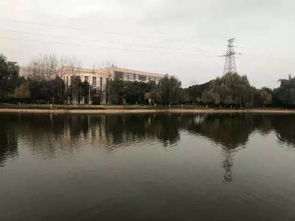 校園里一道靚麗的風(fēng)景線,校園里一道美麗的風(fēng)景線,煞是校園內(nèi)一道靚麗的風(fēng)景線