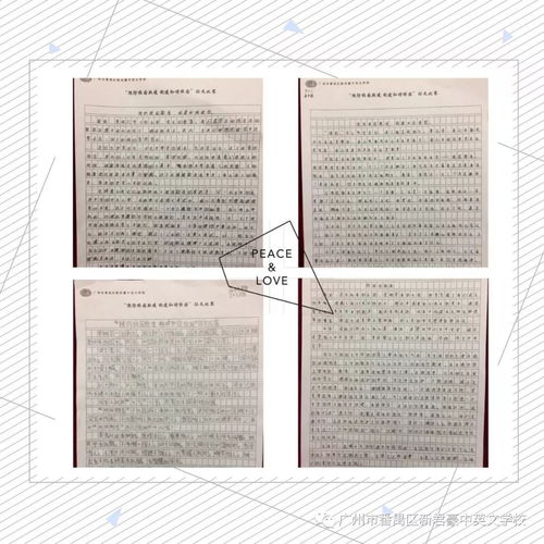 英語(yǔ)校園欺凌的作文