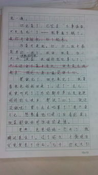 我家的校園作文600字