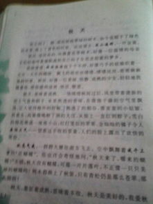 子樹,作文,校園里