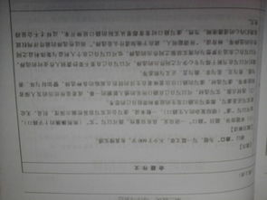 之路,作文,校園