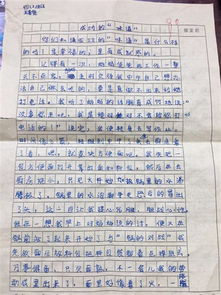 關(guān)于實(shí)驗(yàn)二小的美麗的校園的作文,美麗的校園300字,美麗的校園作文400字四年級
