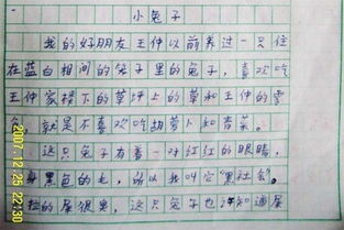 情景交融的校園作文200字