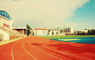 校園的操場作文300