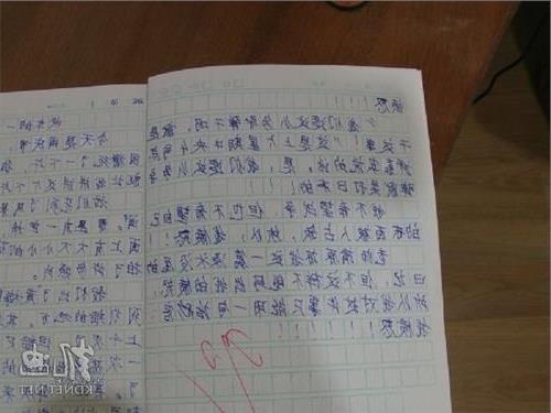 校園擺攤兒100字作文
