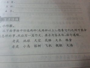 校園新印象350字作文