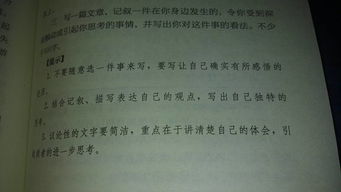 校園秋天的作文600字初中作文