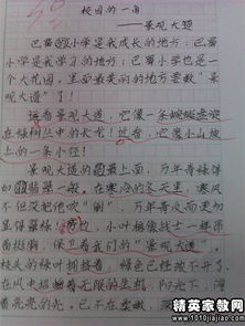 青春校園往事的主題句記敘作文800字
