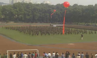 校園趣事軍訓作文