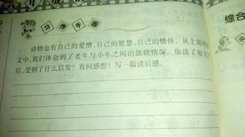 發(fā)生校園的一件事250字作文