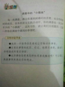 校園調(diào)查報告250字作文怎么寫