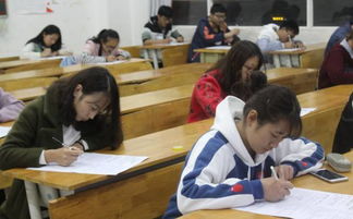 校園安全教育作文競(jìng)賽