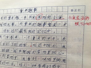 校園的五彩繽紛作文