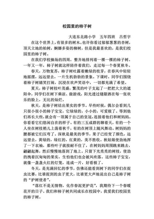 校園里的柿子樹作文評語