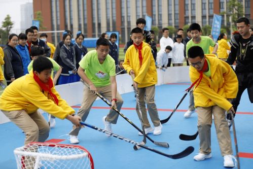 冰雪運(yùn)動(dòng)幾進(jìn)校園的作文300