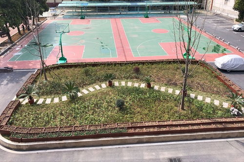 希望疫情早點(diǎn)結(jié)束回到校園的作文