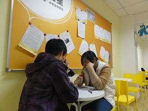 校園是溫暖的家作文400字