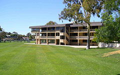 我的美麗校園作文250字