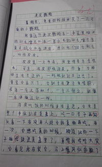 關(guān)于校園里充滿愛的作文600字作文
