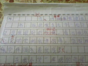 描寫(xiě),優(yōu)秀作文,校園