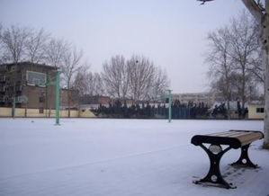 校園活力作文600字