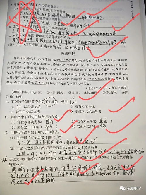 期待相聚校園作文