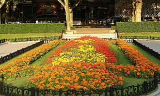 寫(xiě)一扁校園的花壇按春夏秋冬的作文