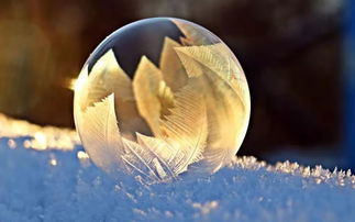 描寫冬天的校園的作文100字