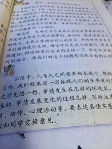 校園奇事400字作文