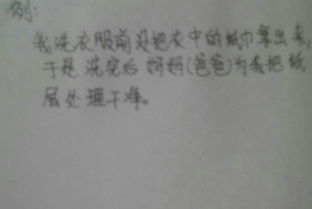 寫對校園的愛作文400字