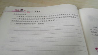 我們的校園作文300字移步換景法