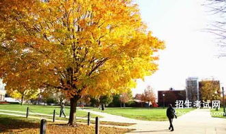 校園的秋天的作文100