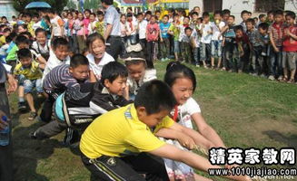 校園的有趣350字作文