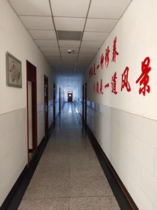 愛護(hù)環(huán)境共建美麗校園作文