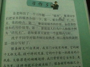 校園里的香樟樹優(yōu)秀作文