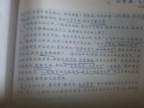 什么風(fēng)光無限作文,大千世界風(fēng)光無限作文,風(fēng)光無限的田野作文